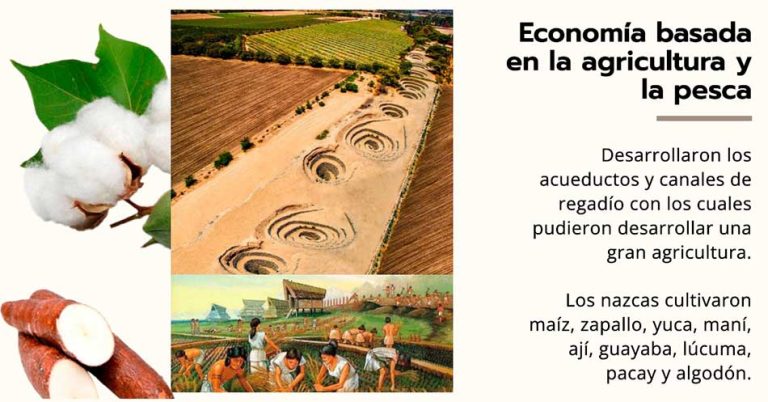 Como Era La Economia De La Cultura Nazca
